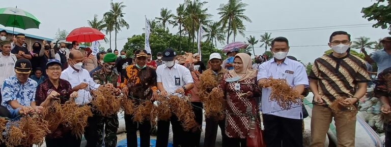 Dirjen Budidaya KKP Canangkan Kampung Budidaya Rumput Laut di Desa Laikang Takalar