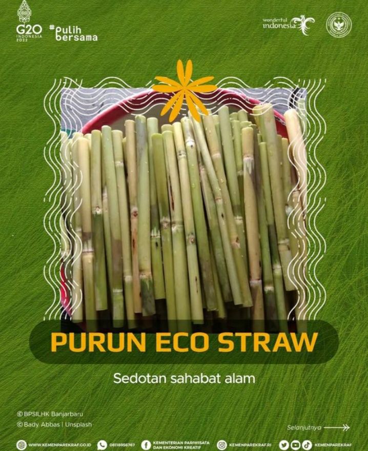 Purun Eco-Straw, Sedotan Ramah Lingkungan Yang Diapresiasi PBB