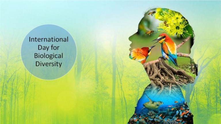 International Biodiversity Day 2023 : Bangun Kembali Keanekaragaman Hayati