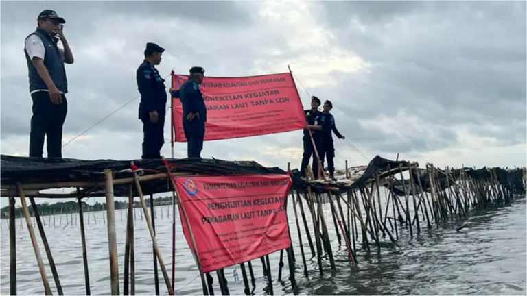 Pakar : Kerugian Pagar Laut Tangerang dan Bekasi Capai Rp116,9 Miliar/Tahun